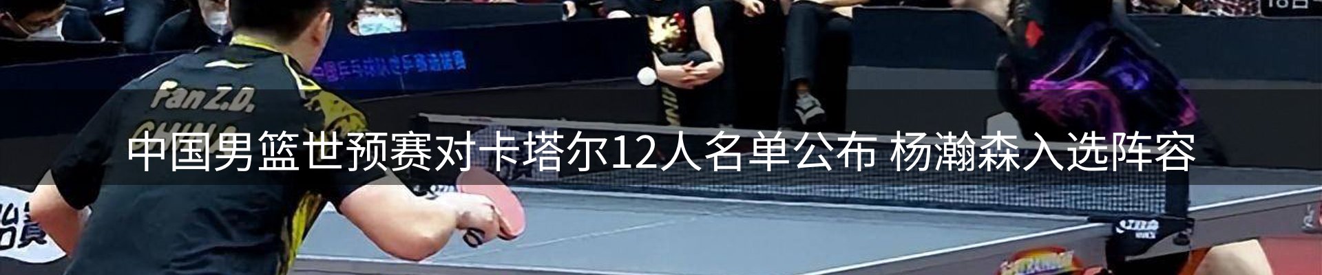网站资讯