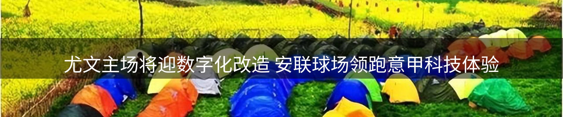 网站资讯