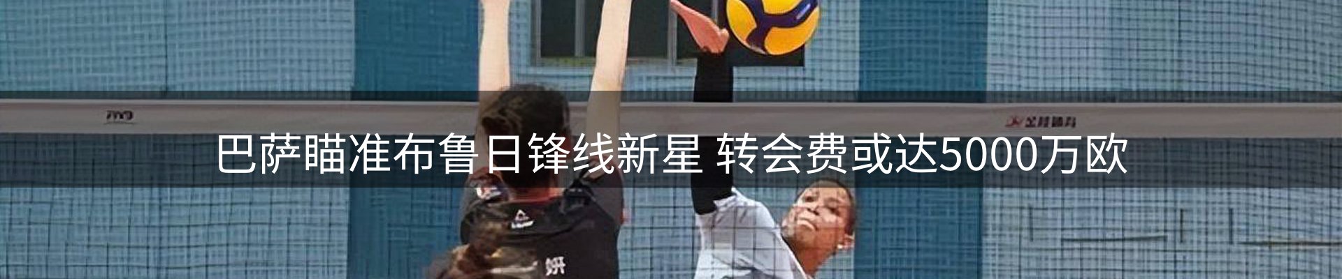 网站资讯