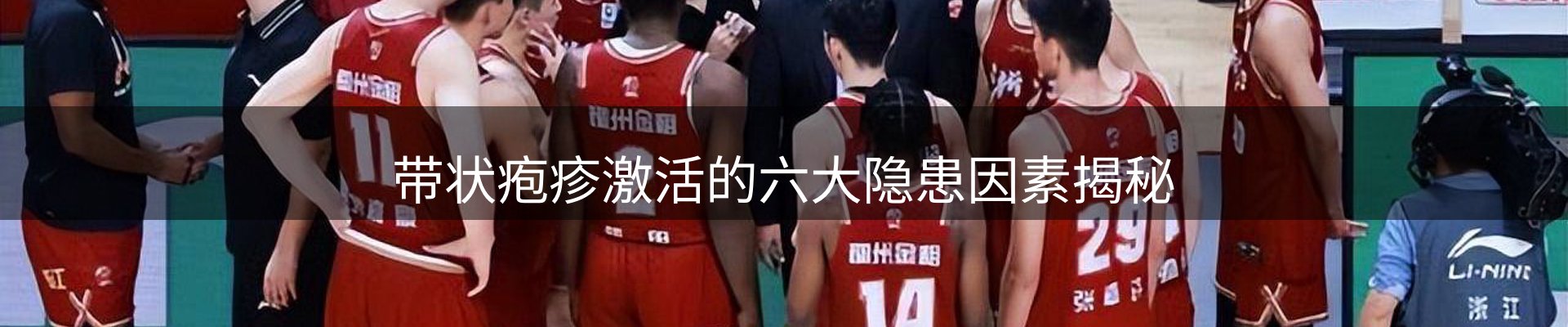 网站资讯
