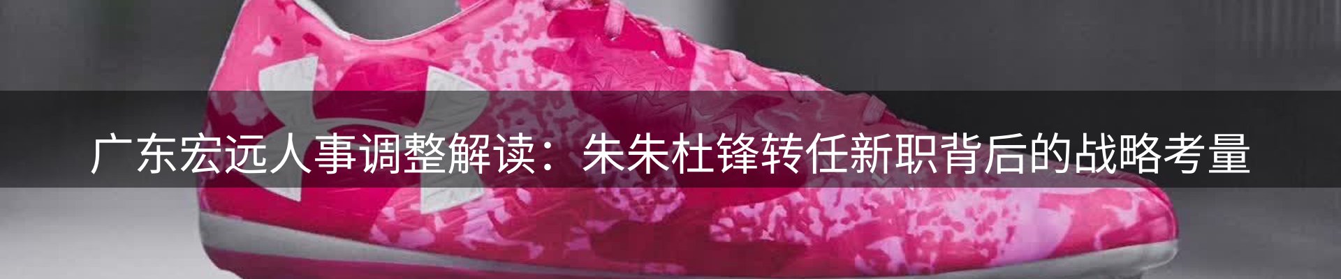 网站资讯