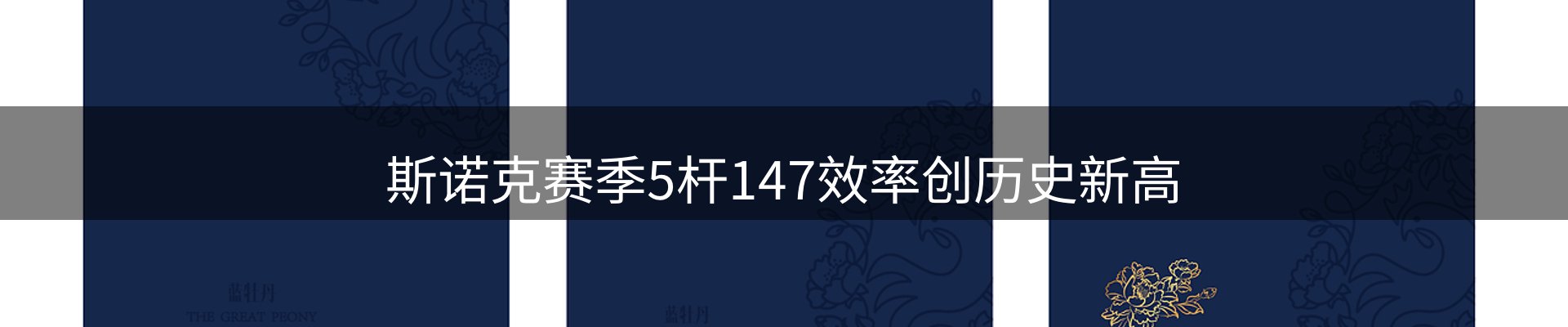 网站资讯