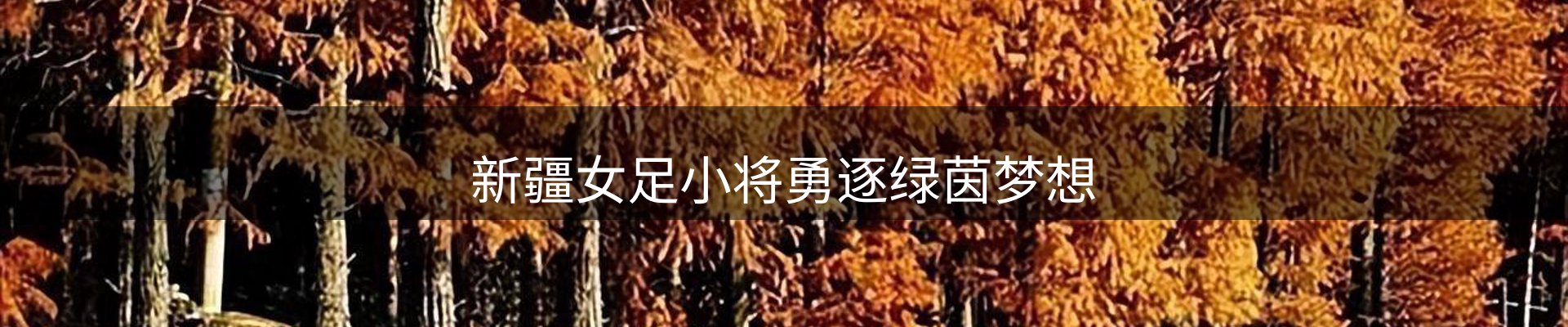 资讯洞察