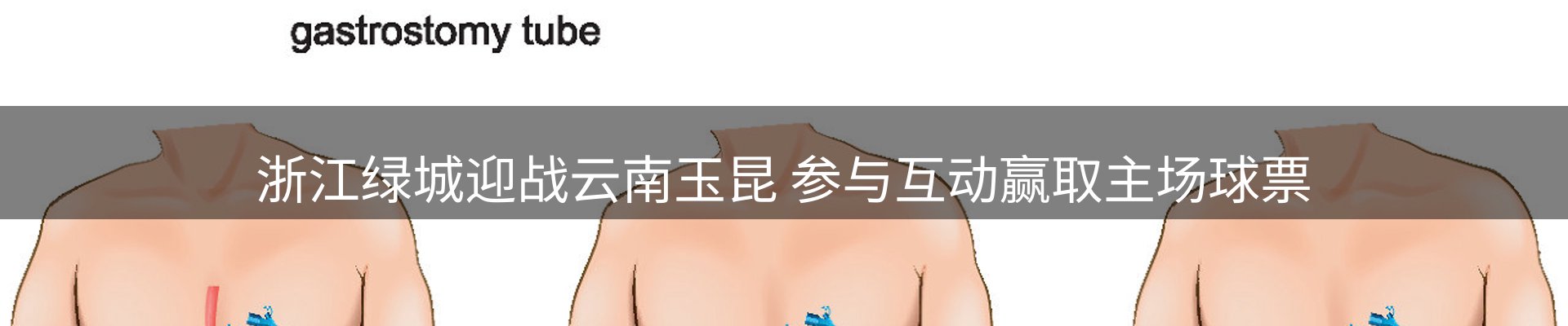 网站资讯