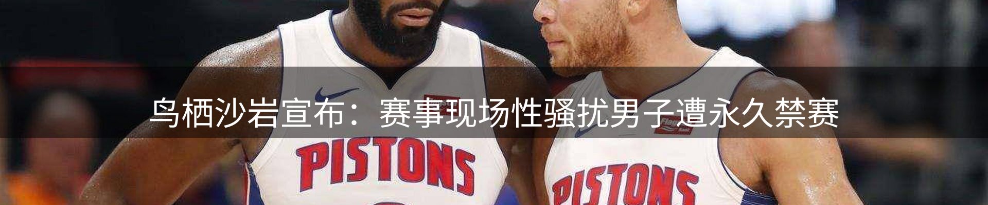网站资讯