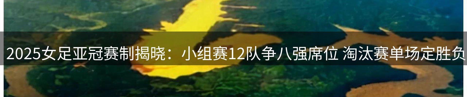 网站资讯