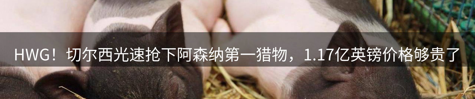 网站资讯