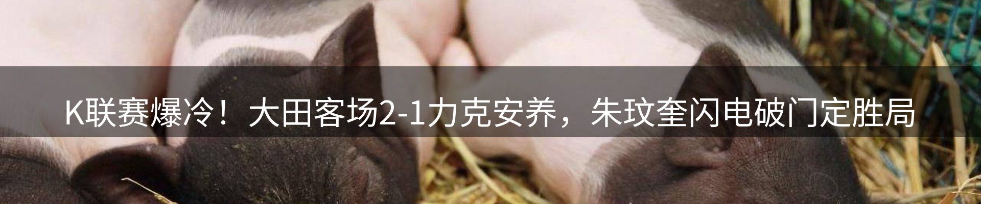 网站资讯